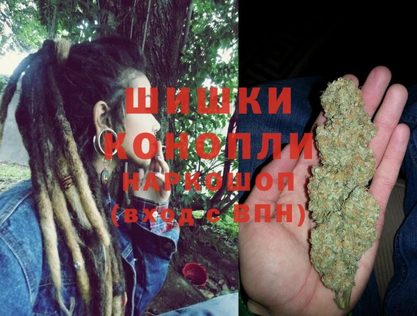 СК Бикин
