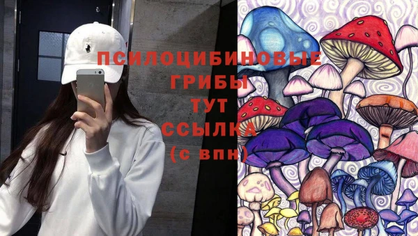 спиды Надым