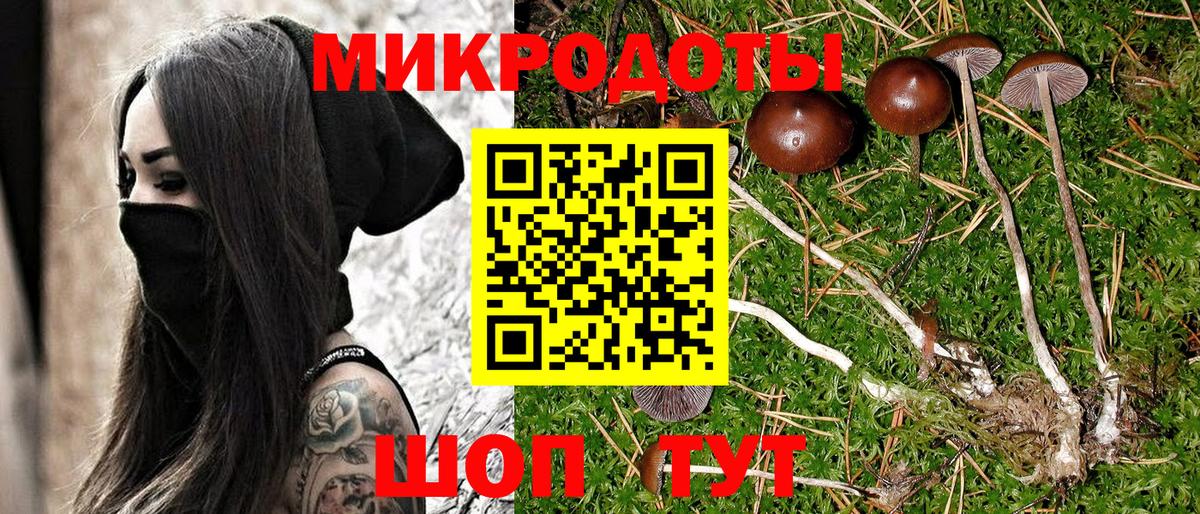 Псилоцибиновые грибы Magic Shrooms  купить  цена  Шадринск 