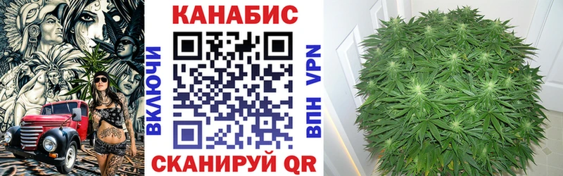 MEGA зеркало сколько стоит Шадринск Марихуана план